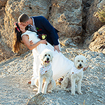 Tucson Foothill Wedding