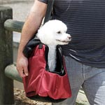 Pet Carrier Photography